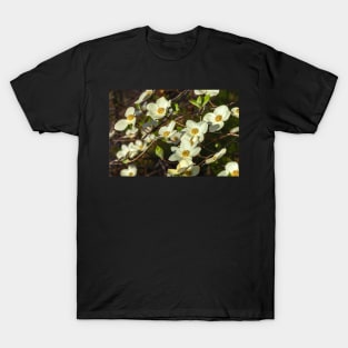 Dogwoods T-Shirt
